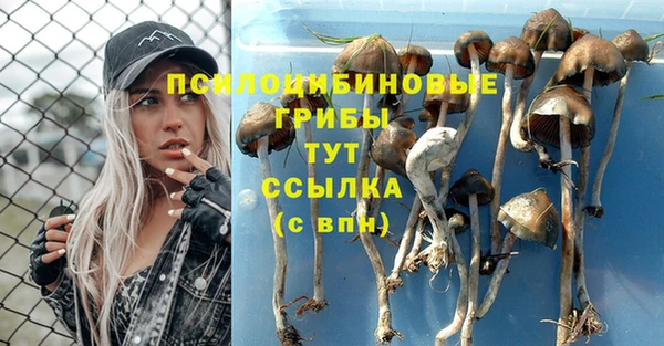 соль курить ск Краснотурьинск