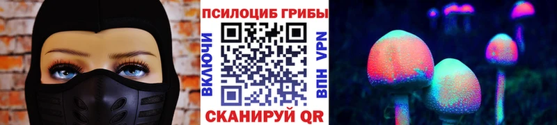 Псилоцибиновые грибы мухоморы Каменногорск