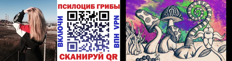 Галлюциногенные грибы прущие грибы Купить закладки Каменногорск